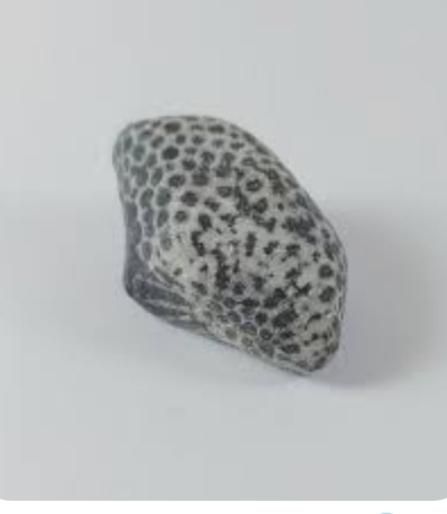 سنگ زوعه ی مار|بدلیجات|یزد, |دیوار