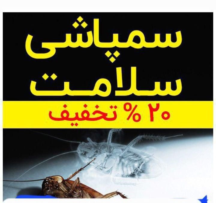 سمپاشی سوسک ساس سرویس دهی کلیه نقاط|خدمات نظافت|پردیس, |دیوار
