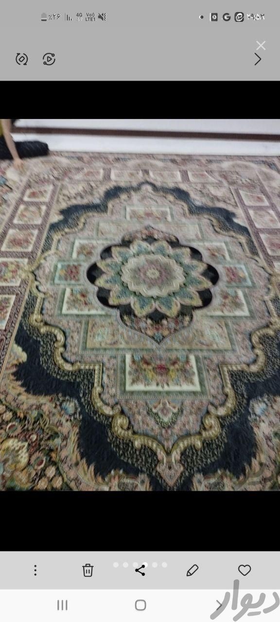 فرش ۱۲ متری|فرش|تهران, تهرانپارس شرقی|دیوار