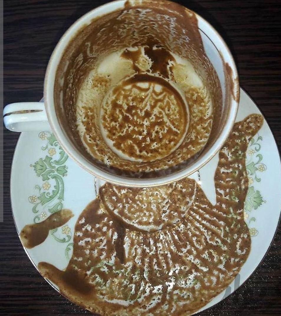 فال قهوه تاروت شمع دقیق و کامل با موکل|خدمات پذیرایی/مراسم|تهران, زعفرانیه|دیوار