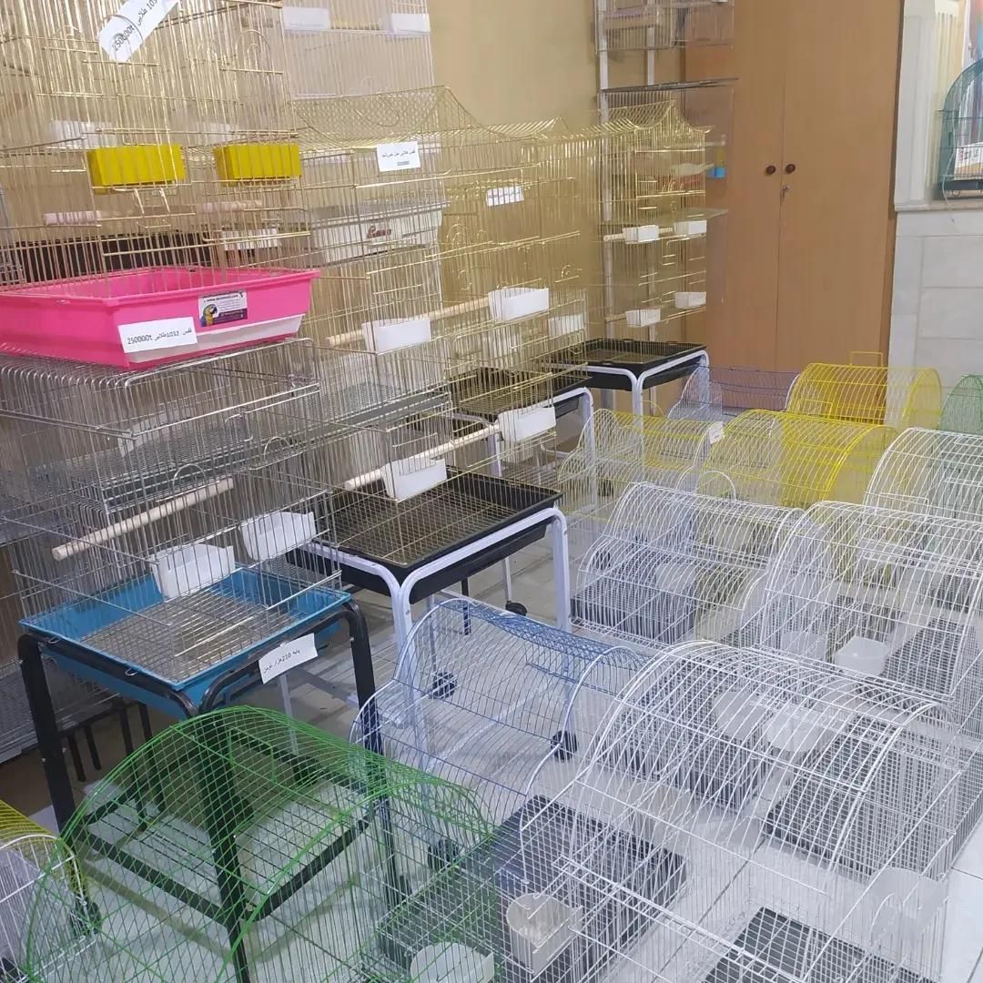 دنیای قفس و لوازم جانبی پرندگان زینتی|لوازم جانبی حیوانات|تبریز, |دیوار