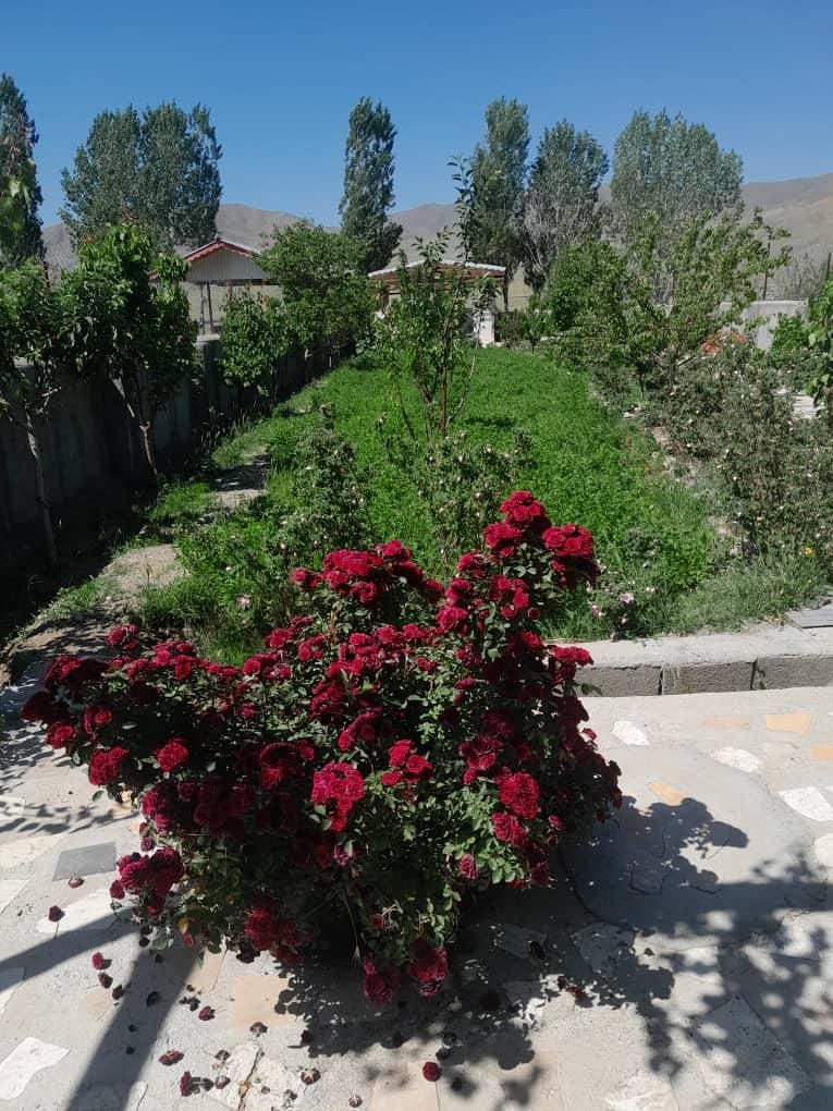 فروش  باغچه نقلی|فروش زمین و ملک کلنگی|خوی, |دیوار