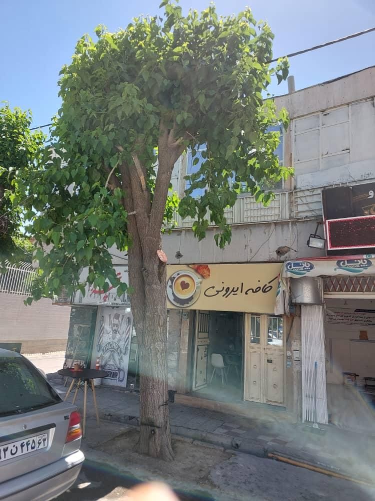 فروش ملک تجاری مسکونی پیرنیا پشت پمپ بنزین|فروش خانه و ویلا|شیراز, انجیر|دیوار
