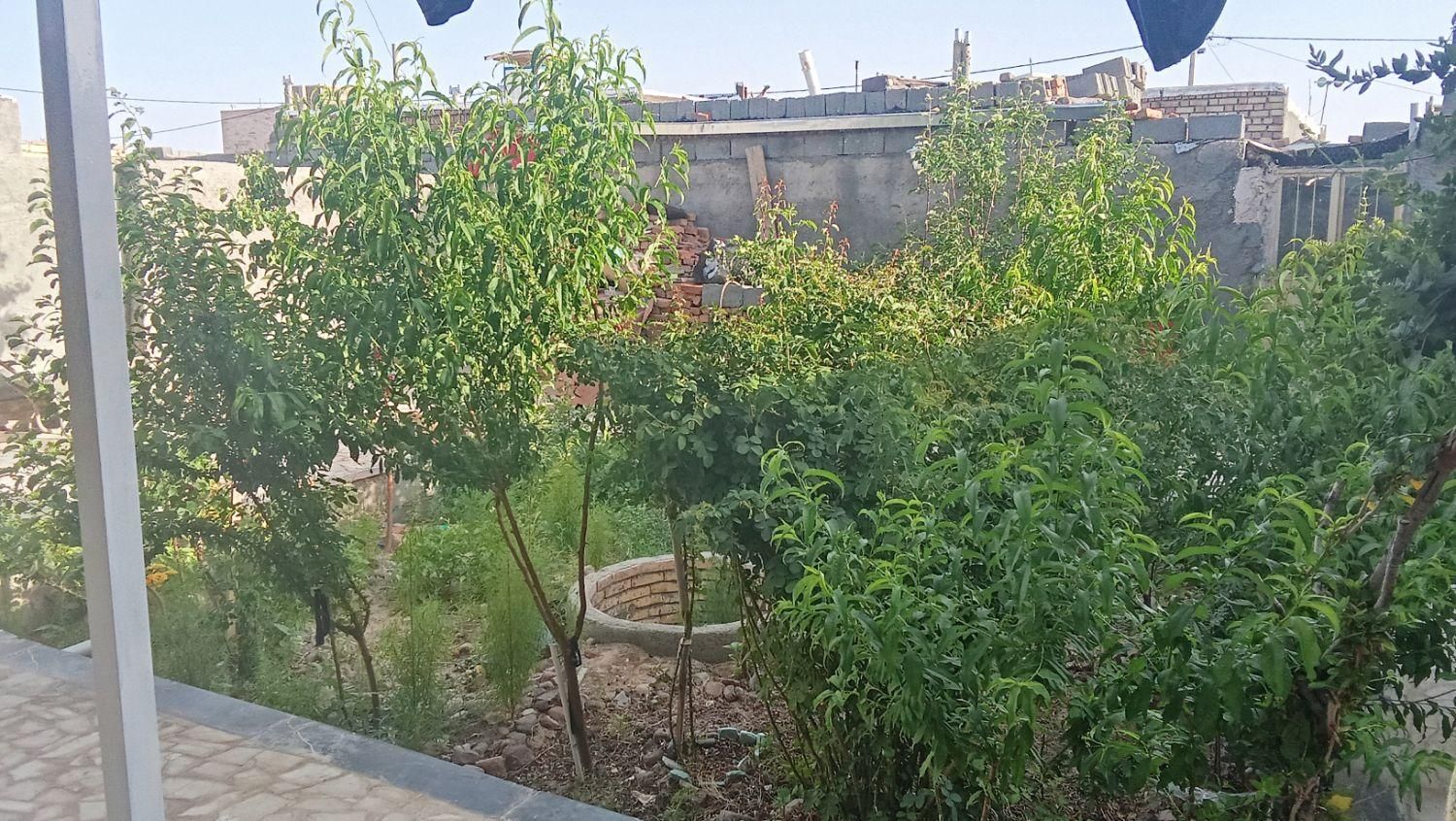 تصویر 4