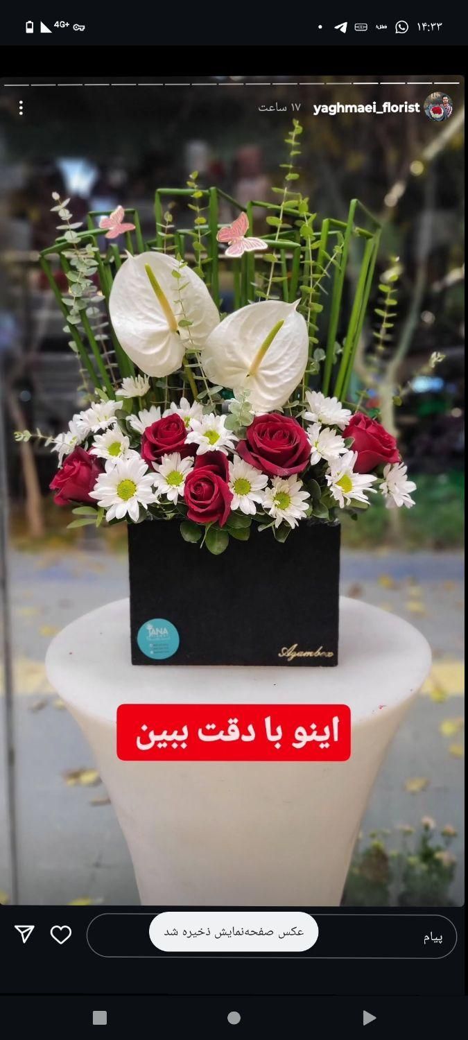 سبد گل|گل و گیاه طبیعی|قم, گلزار|دیوار