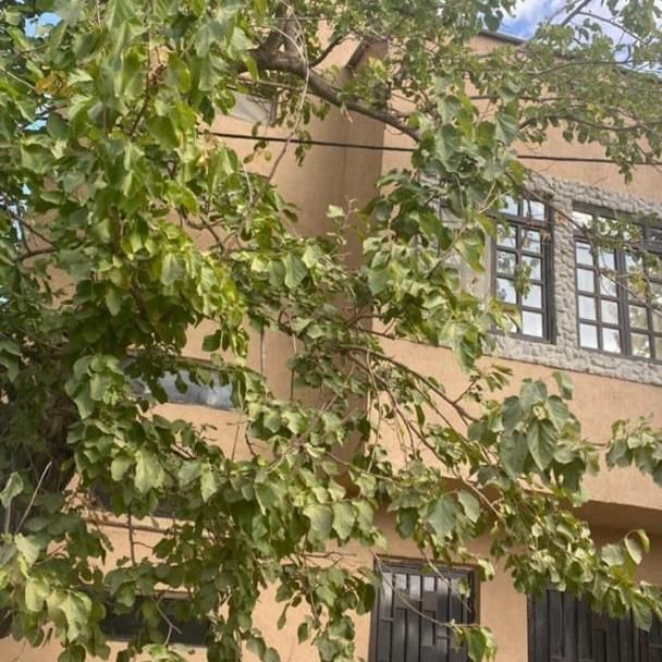 باغ سوئیت مستقل، امن،تمیز،دارای آب گرم، ییلاقی|اجارهٔ کوتاه‌مدت آپارتمان و سوئیت|گلبهار, |دیوار