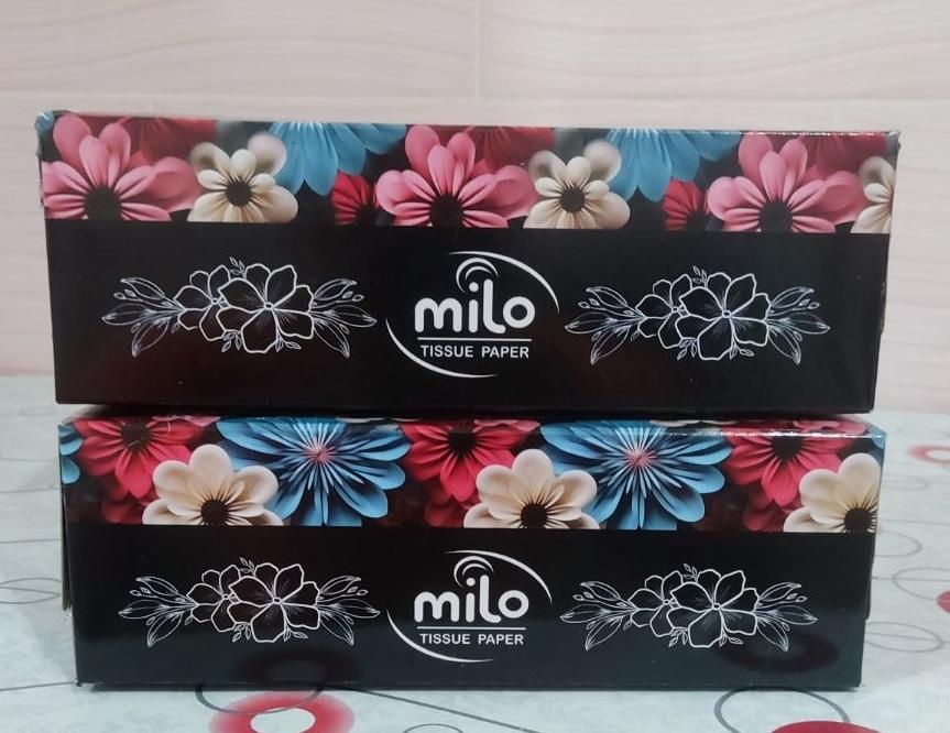 دستمال کاغذی برند milo|مواد شوینده و دستمال کاغذی|داراب, |دیوار