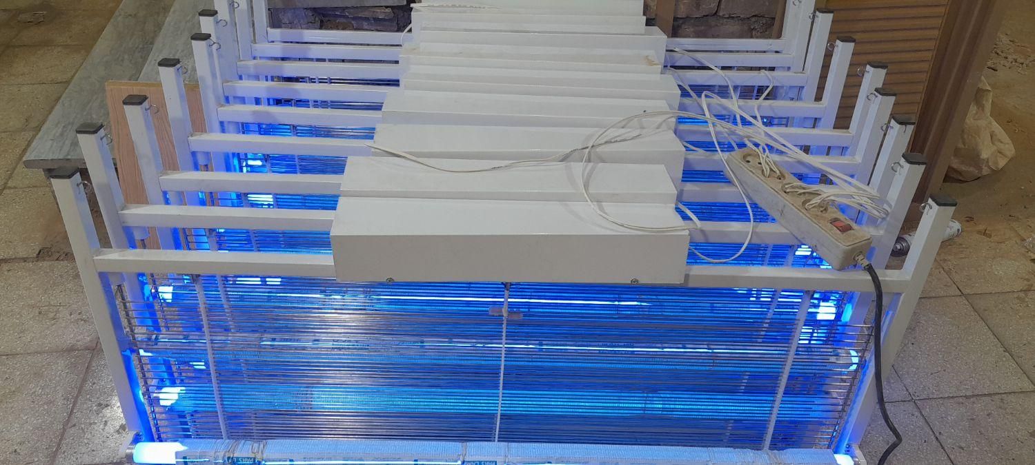 حشره۲۲۳ برقی|عمدهفروشی|رودشت (چهارمحال و بختیاری), |دیوار