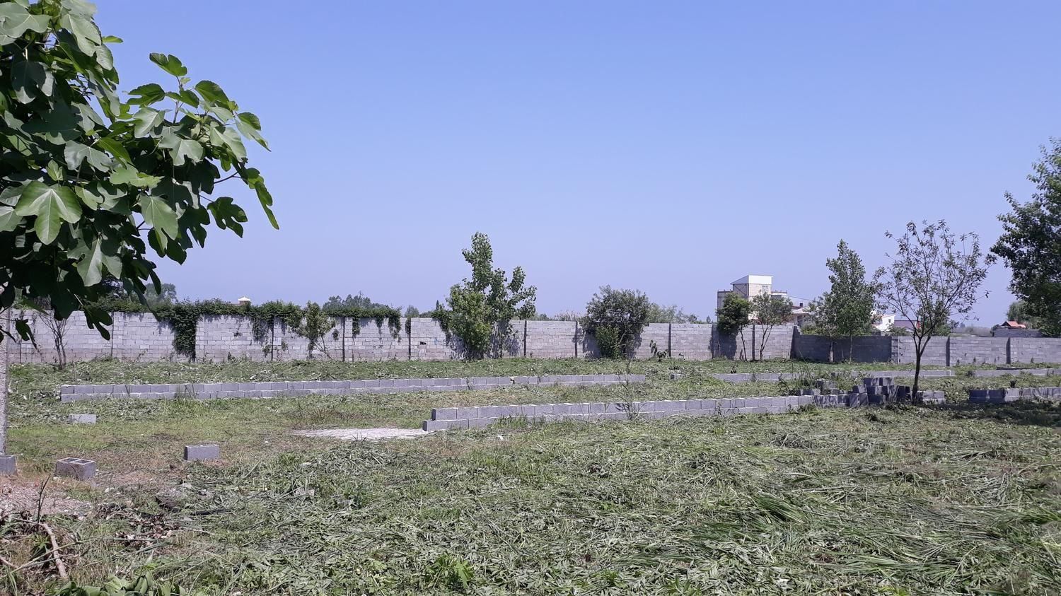 زمین در شاهراه گلسار خیابان عرفان 3035 متر|فروش زمین و ملک کلنگی|رشت, کوی یخ|دیوار