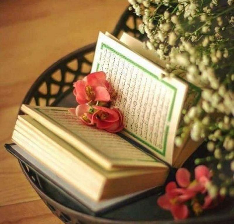 اجابت|خدمات پذیرایی، مراسم|جم, |دیوار