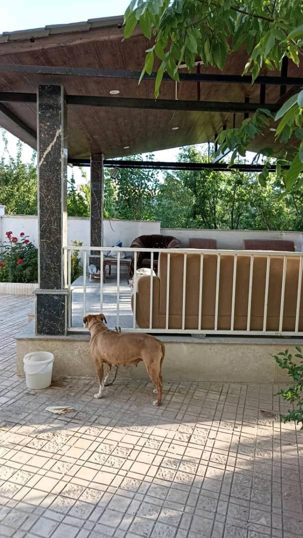 باغ ویلایی 540متر 220بنا در مهرآباد رودهن|فروش خانه و ویلا|رودهن, |دیوار