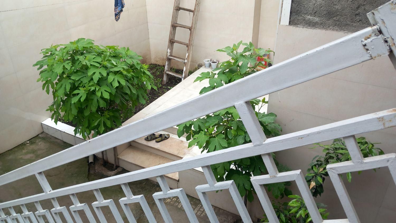 اجاره سوئیت هفته‌ای و ما هانه|اجارهٔ کوتاه‌مدت آپارتمان و سوئیت|علی‌آباد کتول, |دیوار