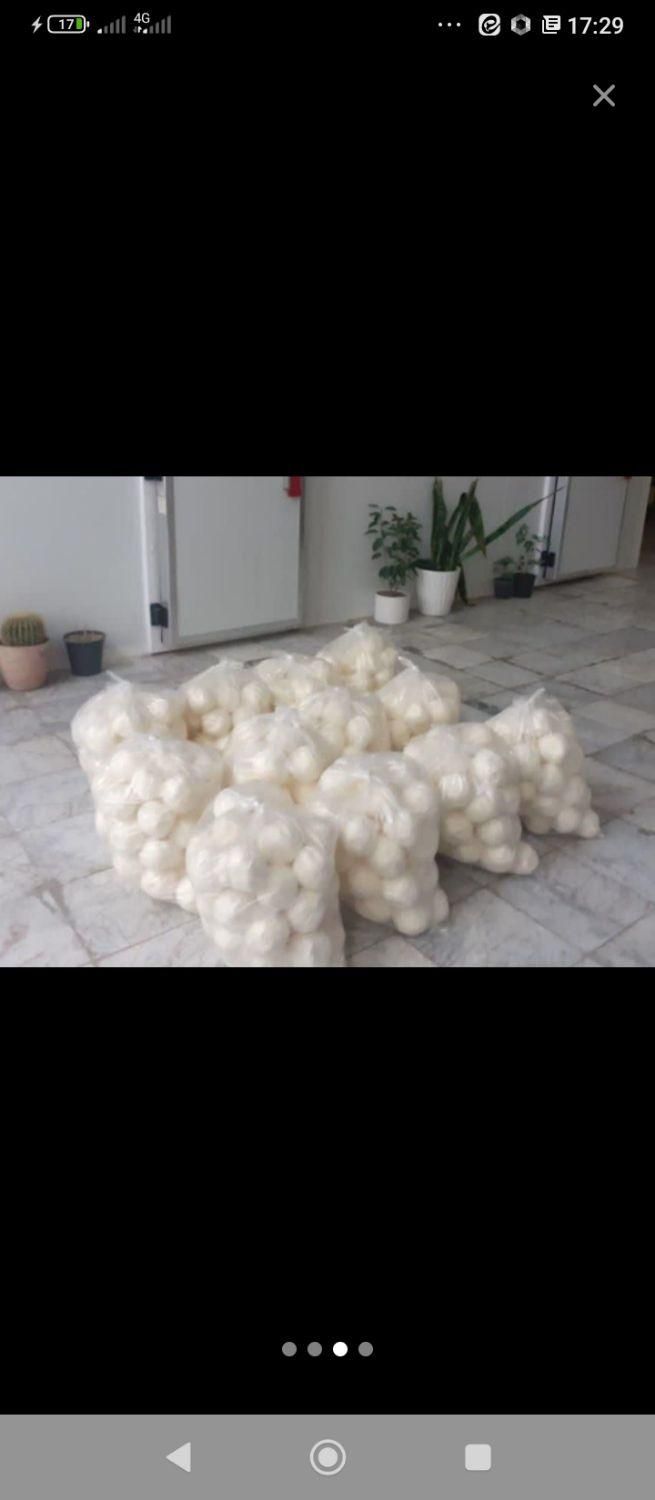 کره گوسفندی‌ تربت جام کره گاوی روغن گوسفند|خوردنی و آشامیدنی|تربت جام, عیدی آباد|دیوار