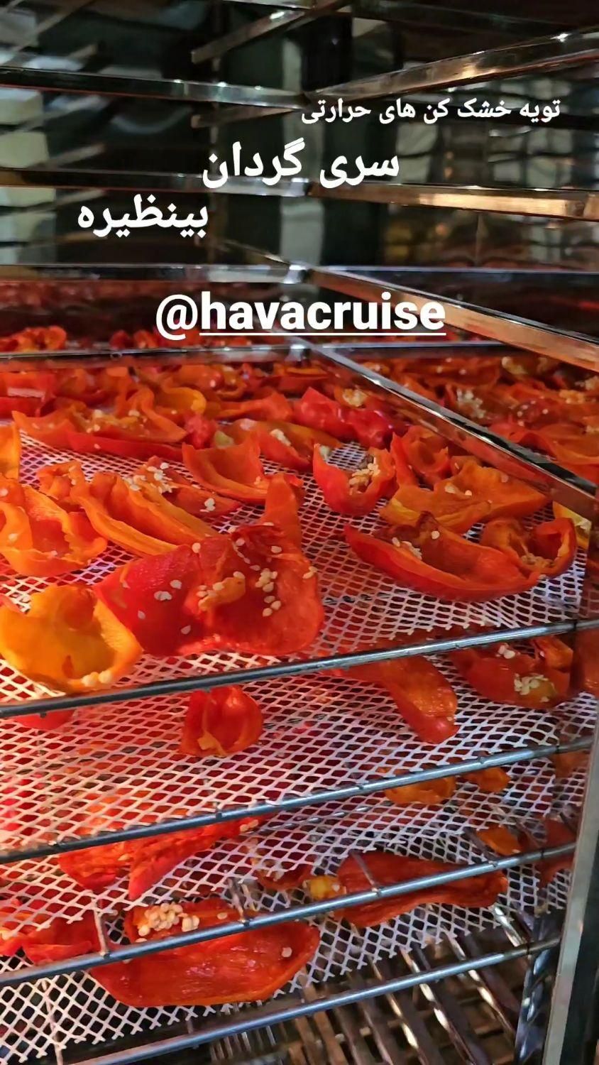 دستگاه خشک کن میوه صنعتی ریلی و خانگی|ماشین‌آلات صنعتی|تهران, آرژانتین|دیوار