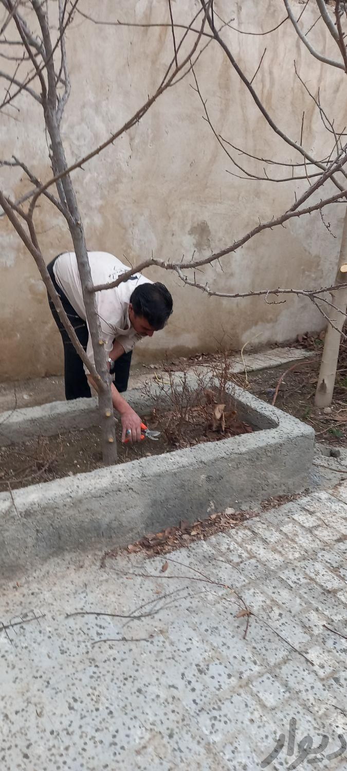 انجام کلیه امورات باغبانی و سمپاشی|خدمات باغبانی و درختکاری|مشهد, حسین‌آباد|دیوار