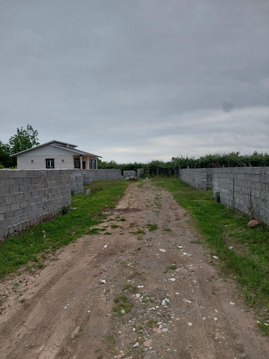 زمین مسکونی سند تک برگ لیسار|فروش زمین و ملک کلنگی|تالش, هشتپر|دیوار