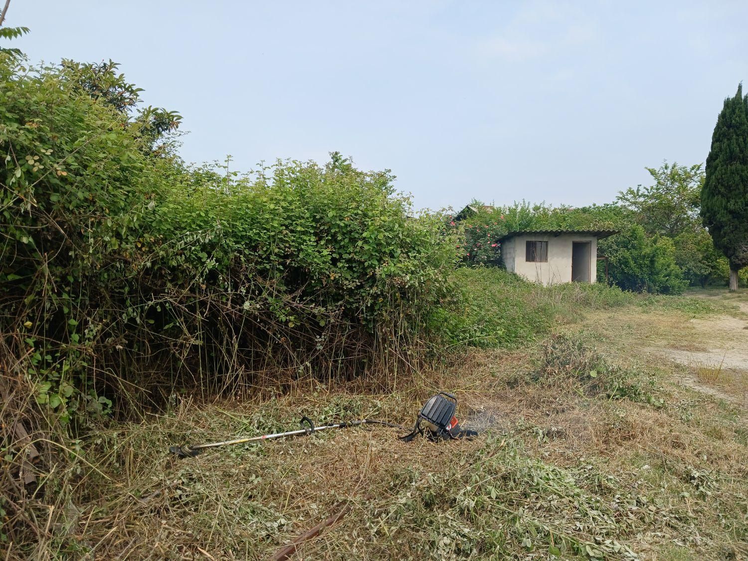 خدمات علف تراشی و قطع چوب و حرص درخت|خدمات باغبانی و درختکاری|قائمشهر, |دیوار