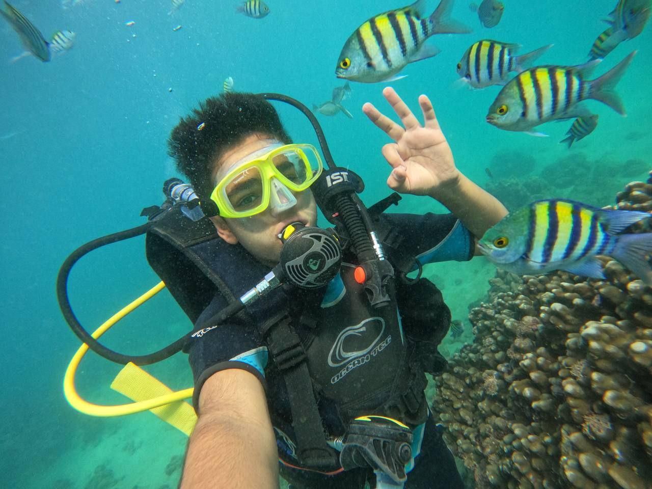 تفریحات دریایی|غواصی و ورزش‌های آبی|قشم, |دیوار