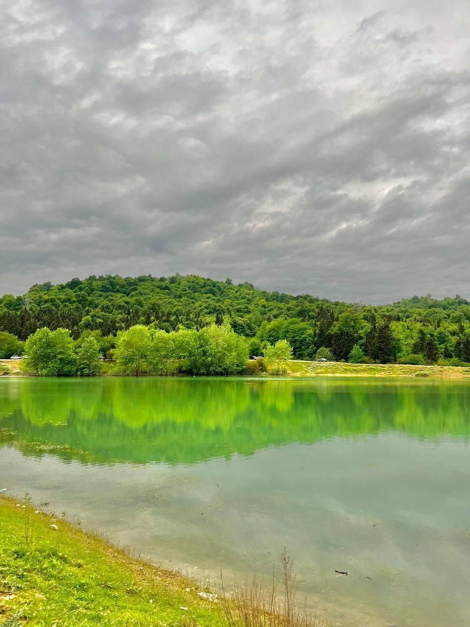 زمین سند تک برگ سرمایه گذاری ساخت کنار جنگل دریاچه|فروش زمین و ملک کلنگی|چمستان, |دیوار