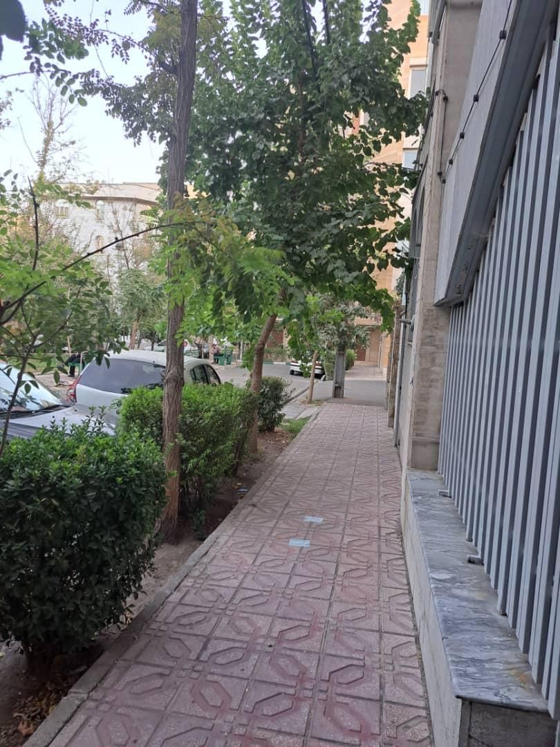 نخست وزیری۱۰۰۰مترزمین بر۲۵متر با جواز|مشارکت در ساخت املاک|بابلسر, |دیوار