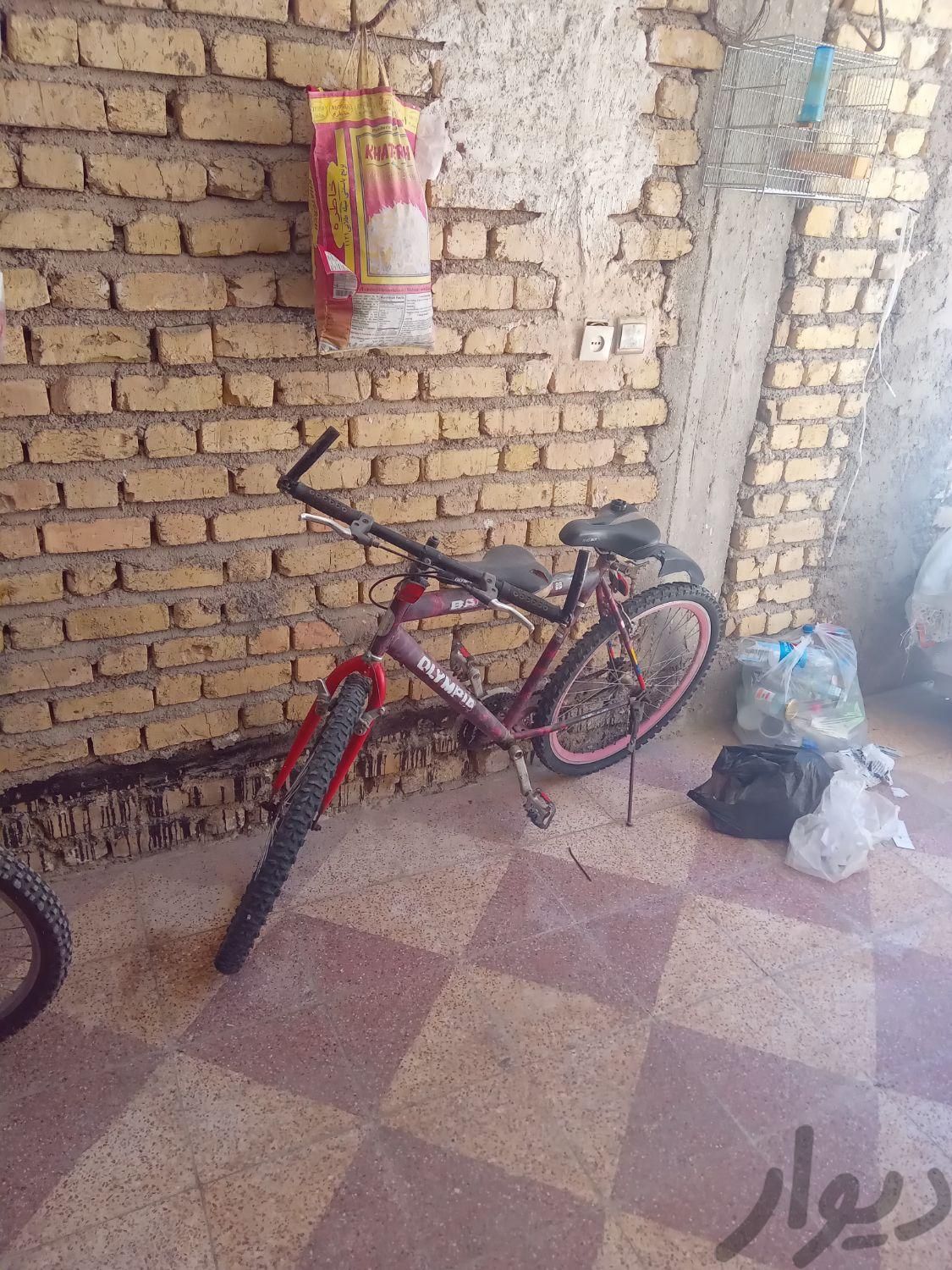 فروش دوچرخه فیروزاباد|دوچرخه، اسکیت، اسکوتر|فیروزآباد, |دیوار
