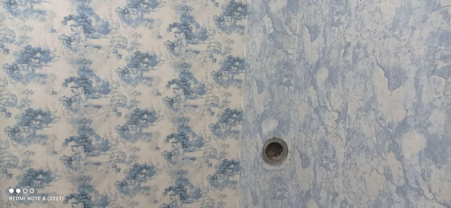 پخش کاغذ دیواری وپوستر و پارکت (اقساط)|خدمات پیشه و مهارت|تبریز, |دیوار