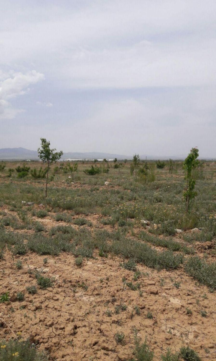 باغ شهر مینو دشت اشراق 1000 متر|فروش دفتر صنعتی، کشاورزی، تجاری|زنجان, |دیوار