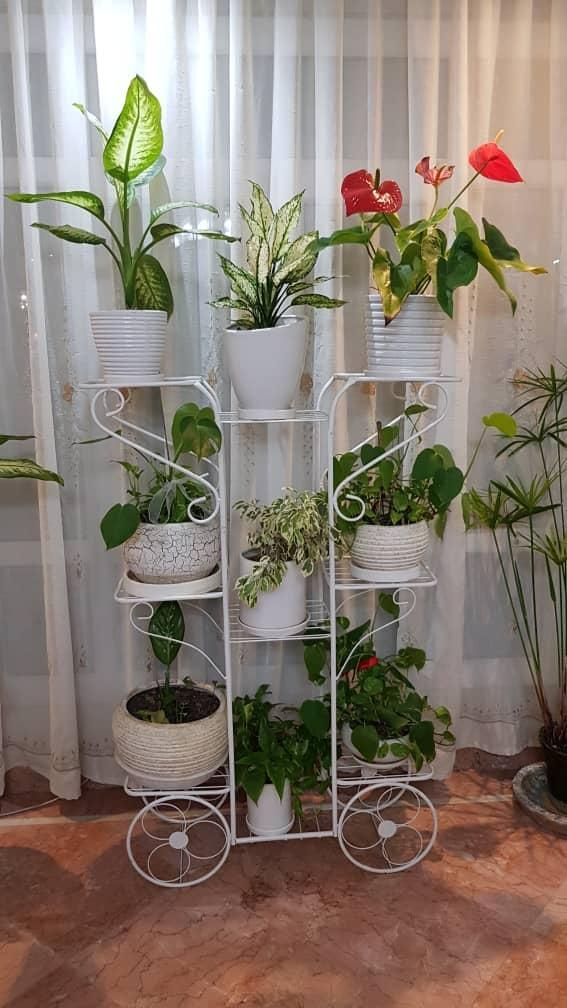 استند های فلزی فرفورژه رنگ کوره ای الکترواستاتیک|گل و گیاه طبیعی|تهران, نارمک جنوبی|دیوار