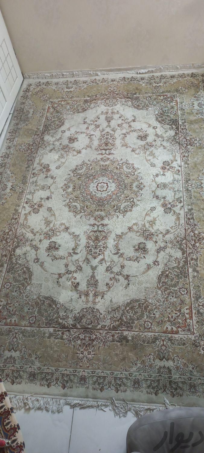 دو عدد فرش نگین مشهد ۶متری|فرش|تهران, حمزه‌آباد|دیوار