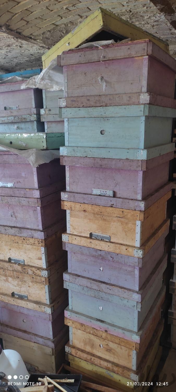کندو وطبق زنبورداری|لوازم جانبی مربوط به حیوانات|نورآباد, |دیوار