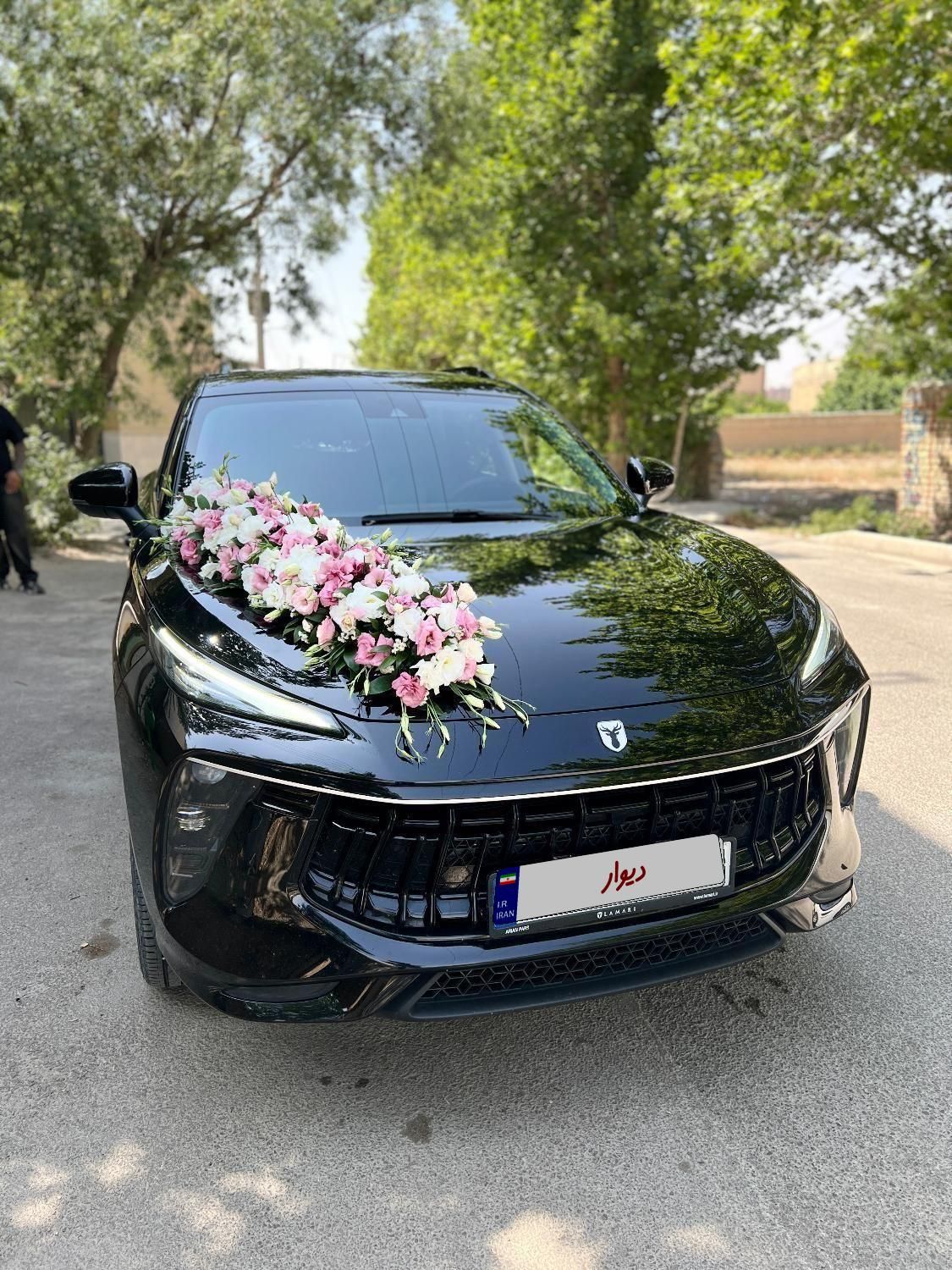 اجاره لاماری/اجاره خودرو/اجاره ماشین/ماشین عروس|خودرو اجارهای|اصفهان, باغ دریاچه|دیوار