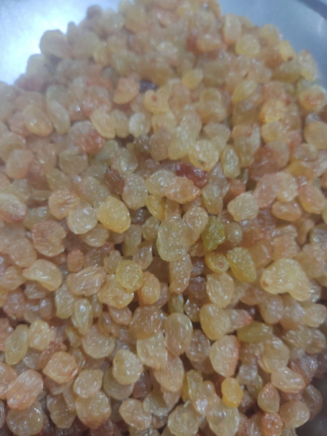 کشمش|خوردنی و آشامیدنی|یزد, |دیوار