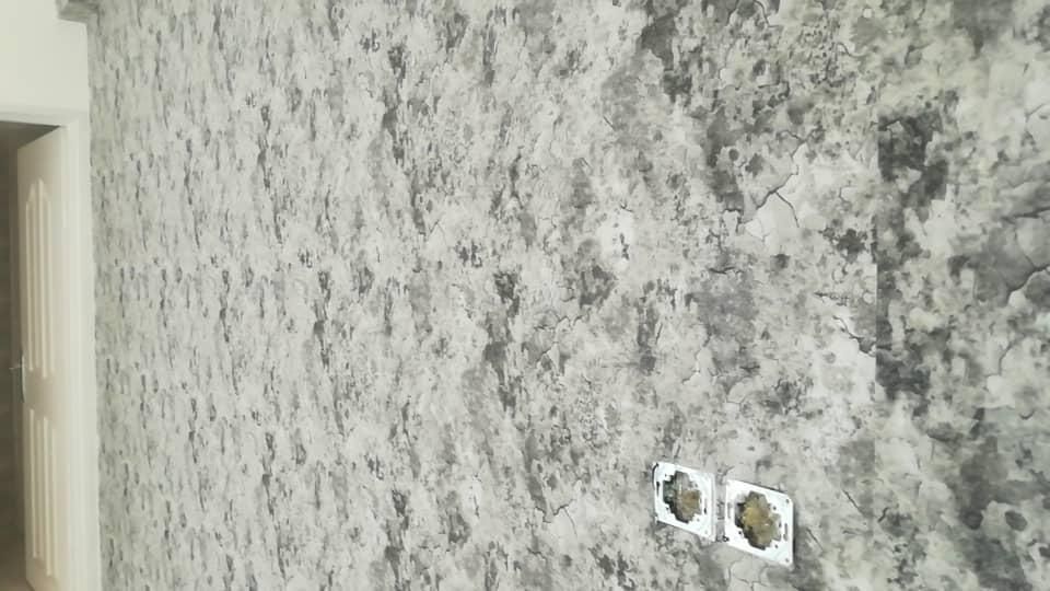 کاغذدیواری قابل شستشو|مصالح و تجهیزات ساختمان|شیراز, شهرک استقلال|دیوار