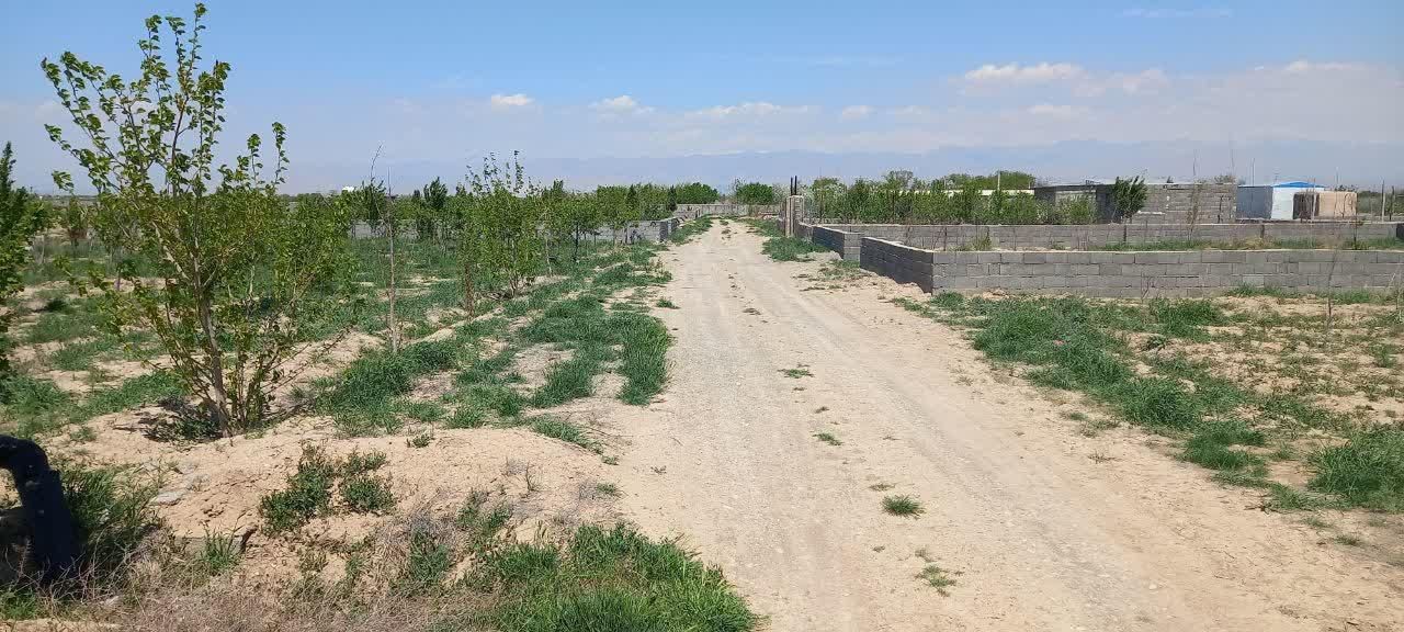 زمین400متر سندارهشتگردکردان سهیلیه زعفرانیه|فروش زمین و ملک کلنگی|کرج, گلستان|دیوار