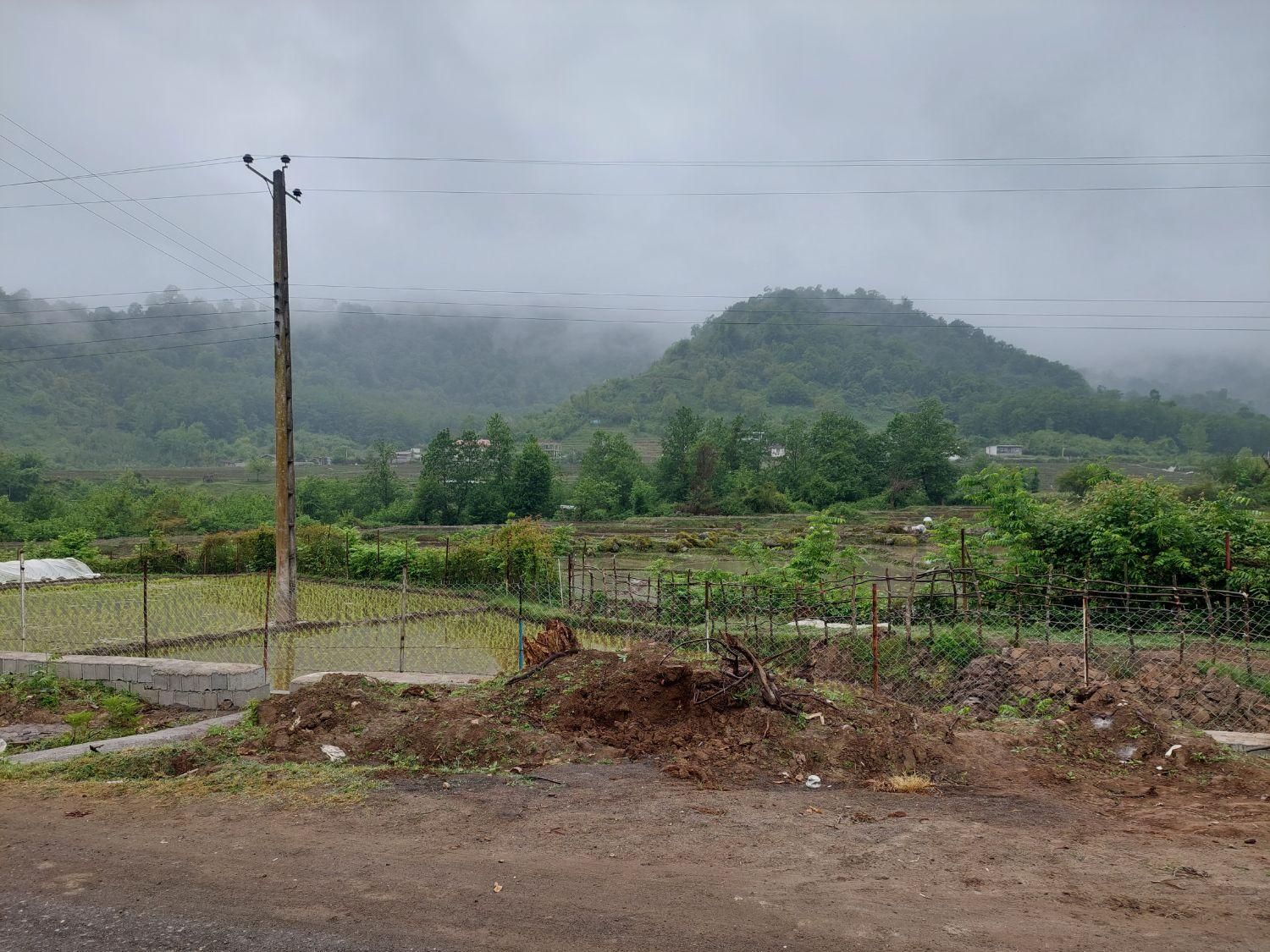 فروش زمین مسکونی سند دار در لیسار|فروش زمین و ملک کلنگی|تالش, هشتپر|دیوار