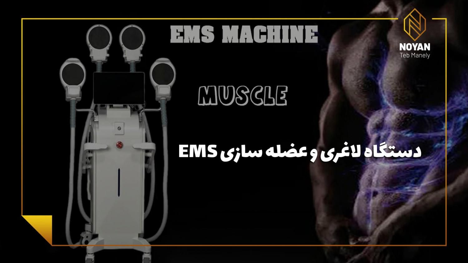 عضله سازی سریع با دستگاه عضله سازی EMS باشگاهی|پزشکی|قم, شهرک شهرداری|دیوار