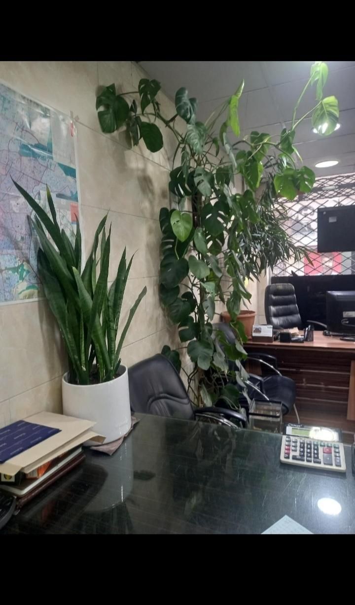 اجاره ۱۲۵ متر/کارگاه/تولیدی/انبار|اجارهٔ دفتر صنعتی، کشاورزی، تجاری|تهران, نازی‌آباد|دیوار