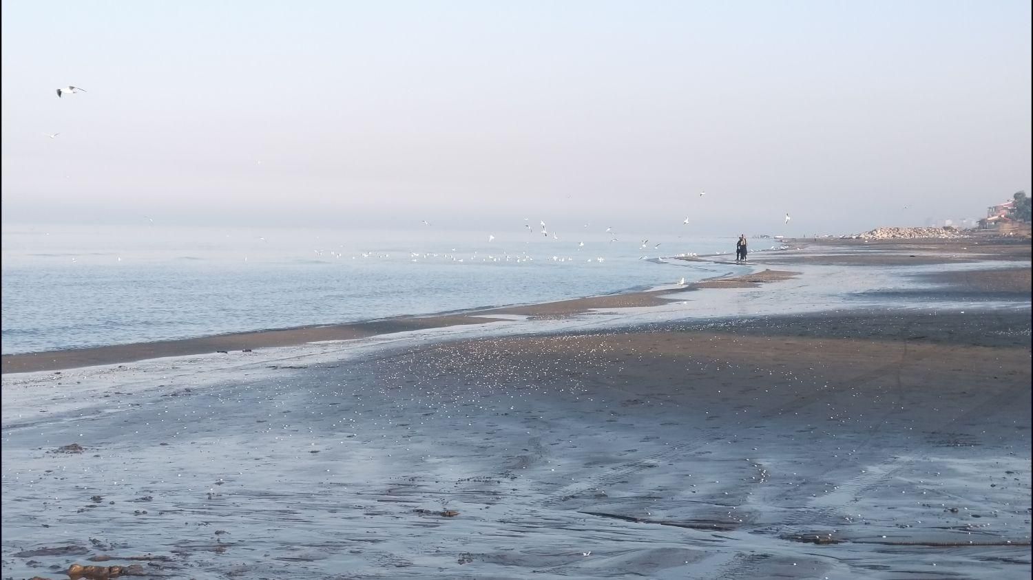 اجاره ویلا یکخواب و دوخواب دقیقا لب دریا پلاک اول|اجارهٔ کوتاه‌مدت ویلا و باغ|رامسر, |دیوار