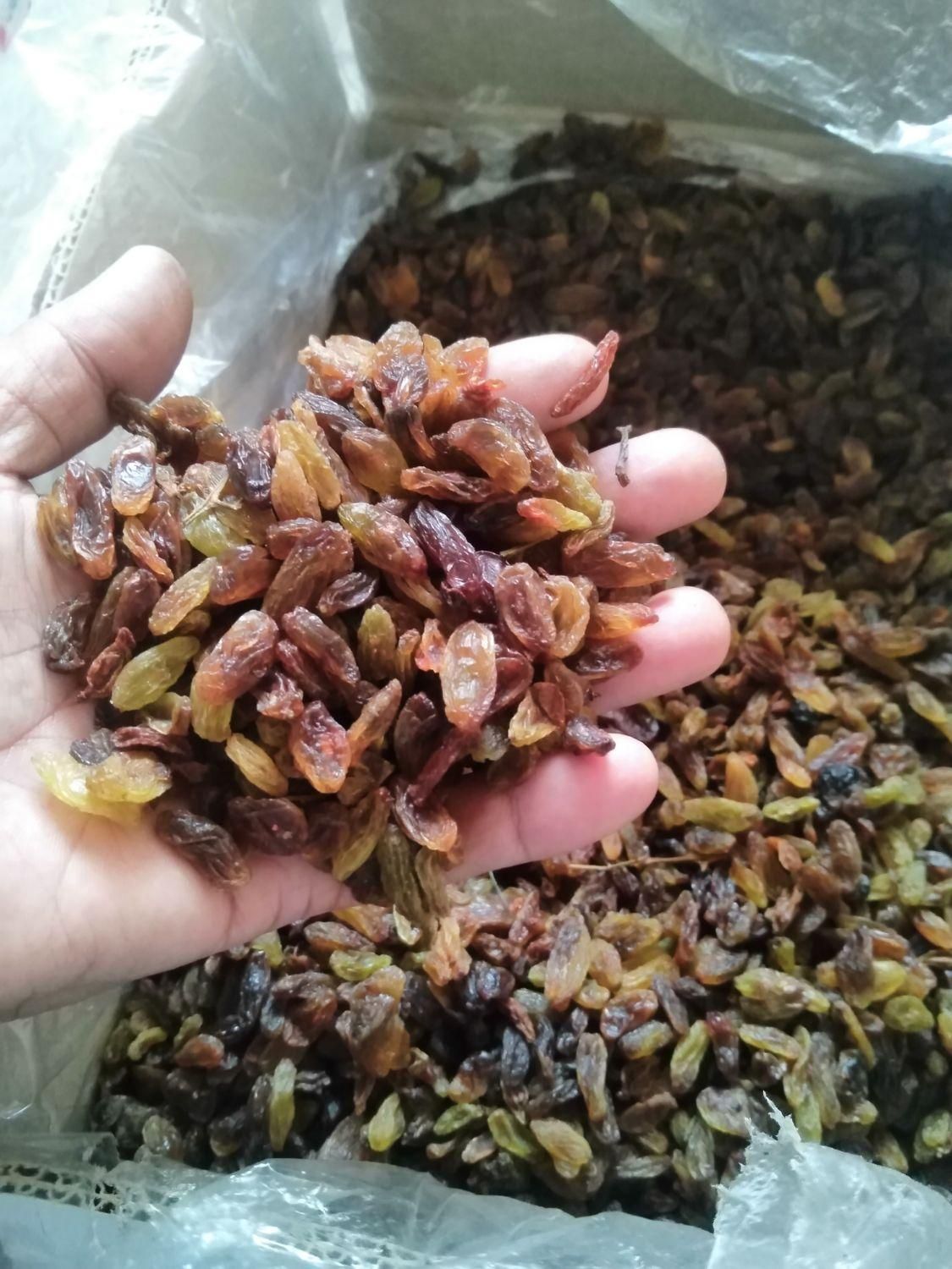 کشمش فله آفتابی محلی|خوردنی و آشامیدنی|شاهرود, |دیوار