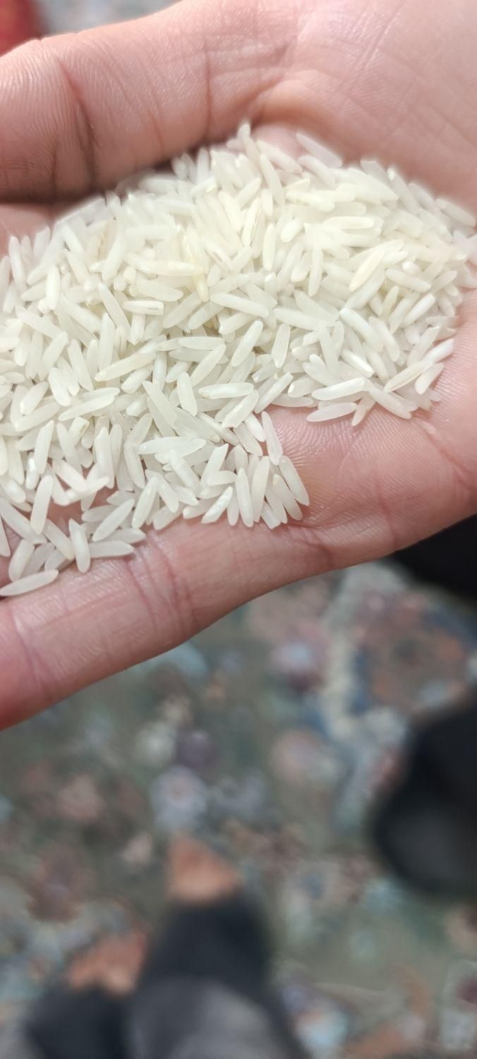 برنج هاشمی درجه یک معطر|خوردنی و آشامیدنی|اسلام‌شهر, |دیوار