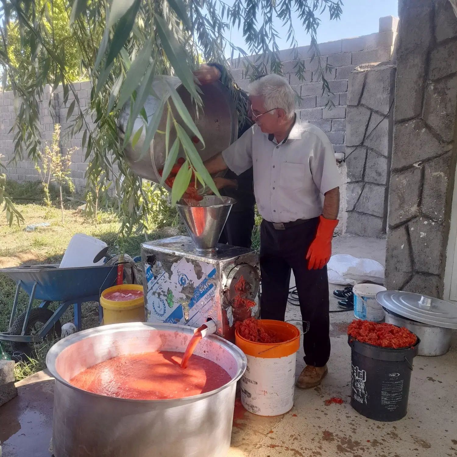 آبگیری گوجه فرنگی به صورت سیار|خوردنی و آشامیدنی|مشهد, قائم|دیوار