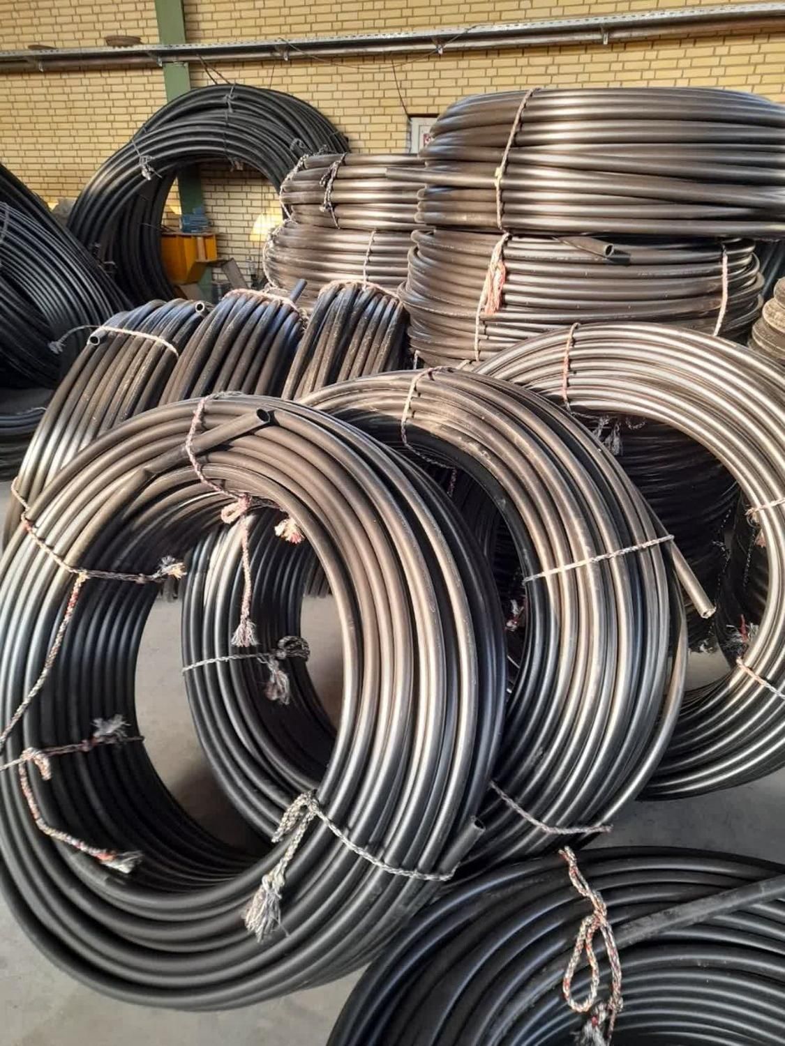 کاشت توت فرنگی در سنندج با لوله پلی اتیلن|عمدهفروشی|سنندج, |دیوار