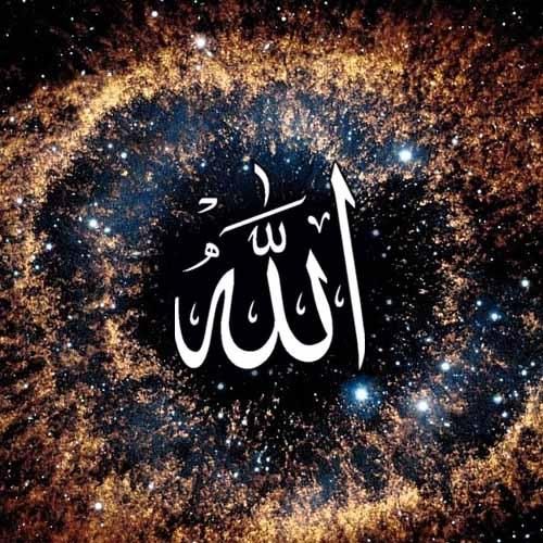 جویای‌کارم‌کارگرم‌|خدمات نظافت|اردبیل, |دیوار