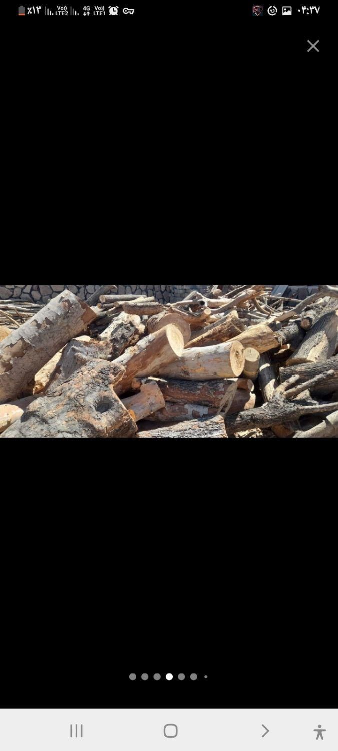 خریدار چوب|خدمات باغبانی و درختکاری|سنندج, |دیوار