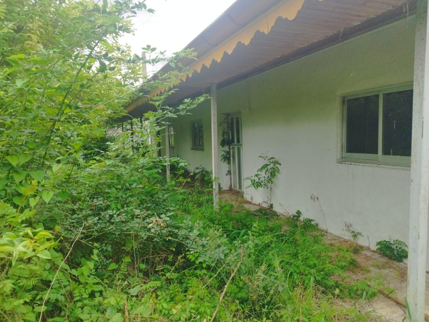 خونه باغ قدیمی ۲/۷۰۰متر سند تک برگ|فروش خانه و ویلا|رضوانشهر, |دیوار