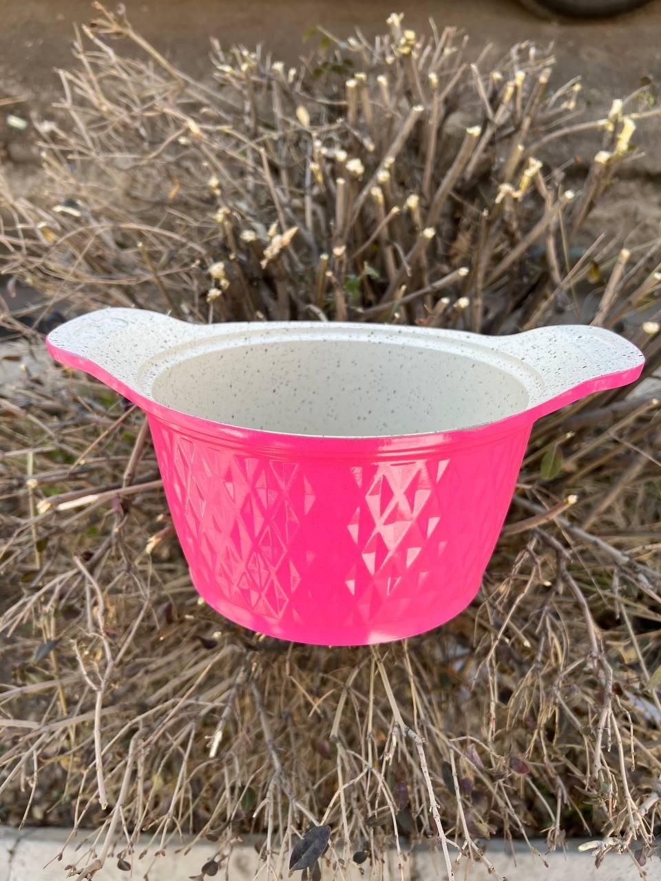 آقای نچسب|خدمات پیشه و مهارت|قزوین, |دیوار