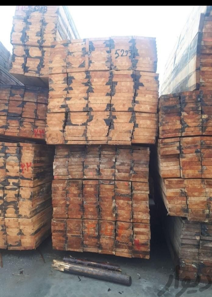 تخته داربست/بنایی/روسی/محکم وقوی/|ابزارآلات|خرمشهر, |دیوار