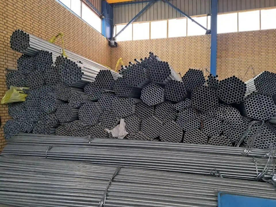 گلخانه ۵۰۰۰|گل و گیاه طبیعی|شهرضا, |دیوار