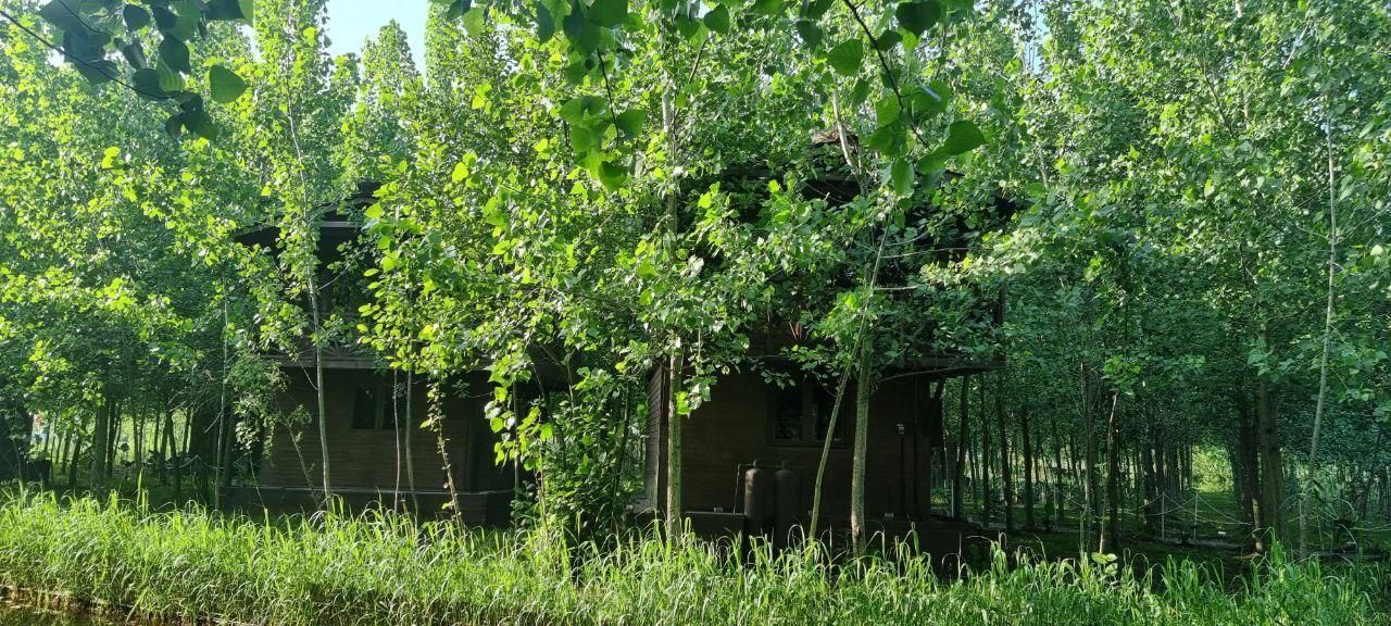 تصویر 5