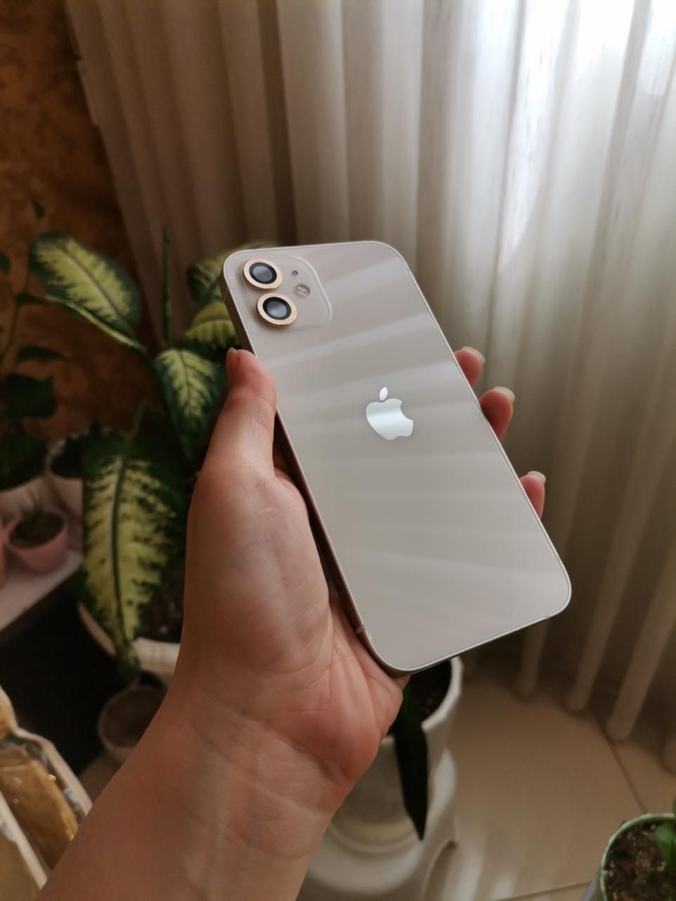 آیفون ۱۲   iphone 12|موبایل|مشهد, الهیه|دیوار